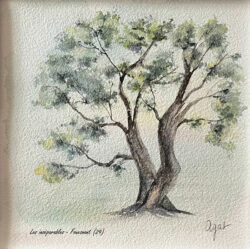 Les inséparables - Fouesnant, aquarelle, 20 x 20 cm (c) AGAT