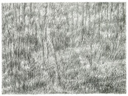 Dessins du troisième jour - 9, Marc Couturier, lithographie et dessin, 60 x 80 cm 2  © Editions Anthèse